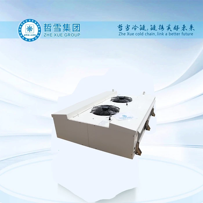 Zhexue Roof Mounted Evaporator For Fruits Cold Storage